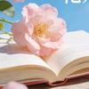 拾字花开