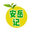 安岳记