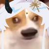 天空无不蓝