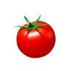 西红柿