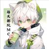 每天都玩MC