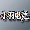 小羽电竞