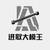 进取大模王