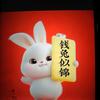 🐰钱兔似锦🐰