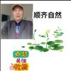 顺齐自然