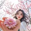 淄博小梦