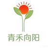 青禾向阳高报（一对一高报，方案终审）