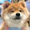 淤坑