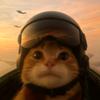 腐瓜猫