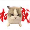 猫meme王者(CH)