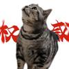 猫肥家润