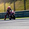 DoubleY MotoGP