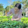 荆楚艳艳有“余”套