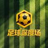 足球深度场