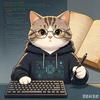 晚睡的猫