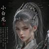 西行小白