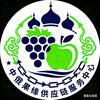 中俄果缘供应链服务