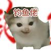 猫meme爱钓鱼