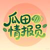 瓜田情报员