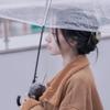 流浪猫