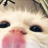 大山小猩猩