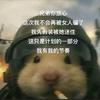 耐心（耐心的树懒）