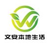 文安本地生活