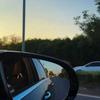 赵杰多多电商