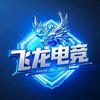 飞龙电竞（文明重启）