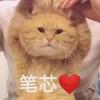 死性不改（接代建）