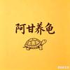 阿甘养龟
