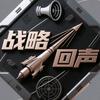 战略回声