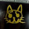 猫可以眯一会儿💤（猫眯了版）