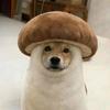 泉こなた
