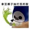 邻家阿喵