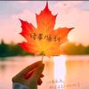 长街归人路