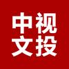 中视文投融媒体中心