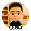 鲁西小宋