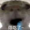 二狗不会玩