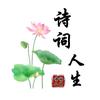诗词人生