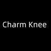 Charm Knee优品