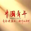 演讲小羊