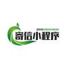 美商程序开发