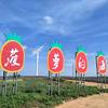 P 过场多…