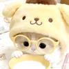小猫不熬夜