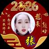 向前看Zh