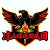 凉山球迷助威团
