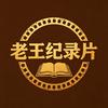 老王纪录片