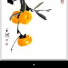 阳光明媚h