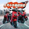 九号极核小牛故障快修（专修疑难杂症)